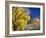 Cottonwood, Rio Arriba County, New Mexico, USA-Michael Snell-Framed Photographic Print