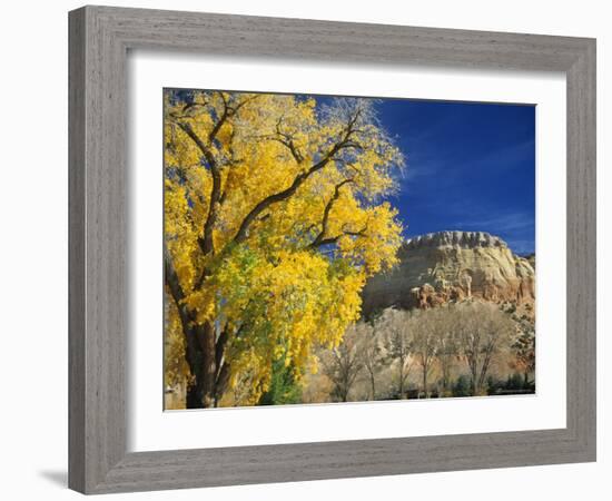 Cottonwood, Rio Arriba County, New Mexico, USA-Michael Snell-Framed Photographic Print