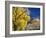 Cottonwood, Rio Arriba County, New Mexico, USA-Michael Snell-Framed Photographic Print