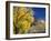 Cottonwood, Rio Arriba County, New Mexico, USA-Michael Snell-Framed Photographic Print