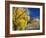 Cottonwood, Rio Arriba County, New Mexico, USA-Michael Snell-Framed Photographic Print