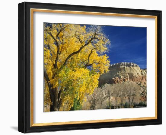 Cottonwood, Rio Arriba County, New Mexico, USA-Michael Snell-Framed Photographic Print