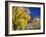 Cottonwood, Rio Arriba County, New Mexico, USA-Michael Snell-Framed Photographic Print