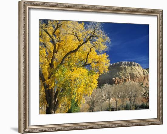 Cottonwood, Rio Arriba County, New Mexico, USA-Michael Snell-Framed Photographic Print