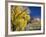 Cottonwood, Rio Arriba County, New Mexico, USA-Michael Snell-Framed Photographic Print