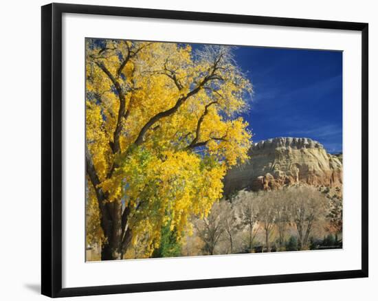 Cottonwood, Rio Arriba County, New Mexico, USA-Michael Snell-Framed Photographic Print