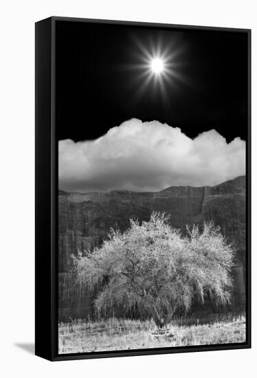 Cottonwood & Sunbeams, Canyon de Chelly, Arizona 10-Monte Nagler-Framed Premier Image Canvas