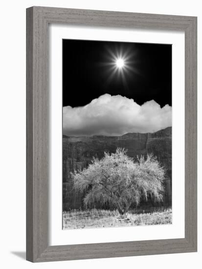 Cottonwood & Sunbeams, Canyon de Chelly, Arizona 10-Monte Nagler-Framed Photographic Print