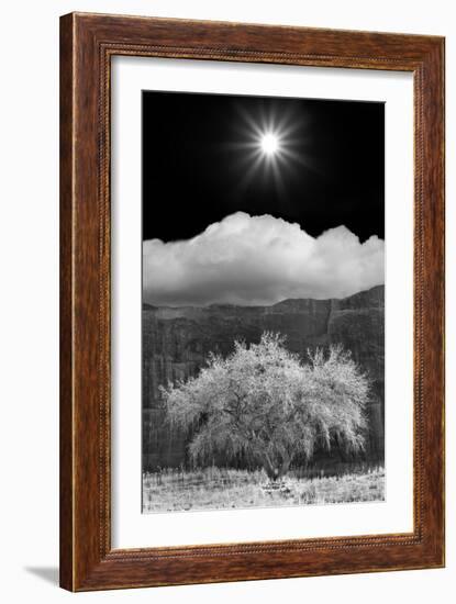 Cottonwood & Sunbeams, Canyon de Chelly, Arizona 10-Monte Nagler-Framed Photographic Print