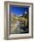 Cottonwood Trees Along the Banks of the Virgin River, Zion National Park, Utah, USA-Tomlinson Ruth-Framed Photographic Print