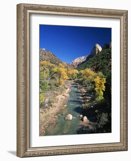 Cottonwood Trees Along the Banks of the Virgin River, Zion National Park, Utah, USA-Tomlinson Ruth-Framed Photographic Print