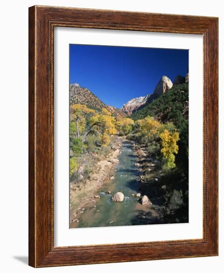 Cottonwood Trees Along the Banks of the Virgin River, Zion National Park, Utah, USA-Tomlinson Ruth-Framed Photographic Print