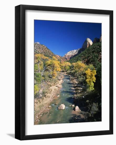 Cottonwood Trees Along the Banks of the Virgin River, Zion National Park, Utah, USA-Tomlinson Ruth-Framed Photographic Print