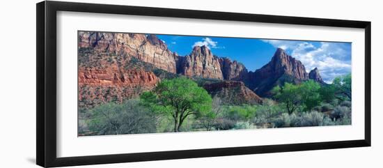 Cottonwood Trees and the Watchman, Zion National Park, Utah, USA-null-Framed Photographic Print