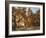 Cottonwood trees in fall foliage, Rio Grande Nature Park, Albuquerque, New Mexico-Maresa Pryor-Framed Photographic Print