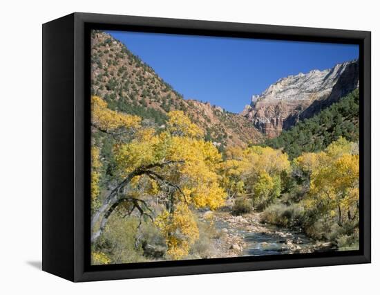 Cottonwood Trees on the Banks of the Virgin River, Zion National Park, Utah, USA-Ruth Tomlinson-Framed Premier Image Canvas