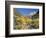 Cottonwood Trees on the Banks of the Virgin River, Zion National Park, Utah, USA-Ruth Tomlinson-Framed Photographic Print