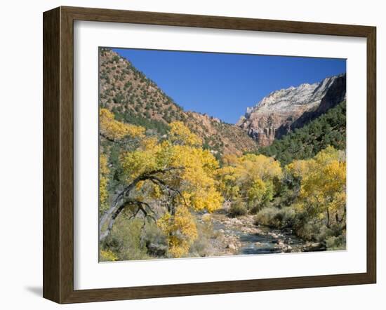 Cottonwood Trees on the Banks of the Virgin River, Zion National Park, Utah, USA-Ruth Tomlinson-Framed Photographic Print