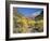 Cottonwood Trees on the Banks of the Virgin River, Zion National Park, Utah, USA-Ruth Tomlinson-Framed Photographic Print