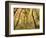 Cottonwood Trees-null-Framed Photographic Print