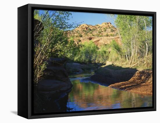 Cottonwoods Along Stream, Grand Staircase-Escalante National Monument, Utah, USA-Scott T. Smith-Framed Premier Image Canvas