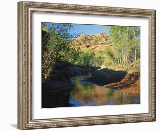 Cottonwoods Along Stream, Grand Staircase-Escalante National Monument, Utah, USA-Scott T. Smith-Framed Photographic Print