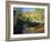 Cottonwoods Along Stream, Grand Staircase-Escalante National Monument, Utah, USA-Scott T. Smith-Framed Photographic Print