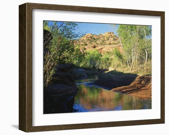 Cottonwoods Along Stream, Grand Staircase-Escalante National Monument, Utah, USA-Scott T. Smith-Framed Photographic Print