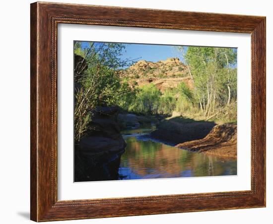 Cottonwoods Along Stream, Grand Staircase-Escalante National Monument, Utah, USA-Scott T. Smith-Framed Photographic Print