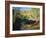 Cottonwoods Along Stream, Grand Staircase-Escalante National Monument, Utah, USA-Scott T. Smith-Framed Photographic Print