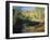 Cottonwoods Along Stream, Grand Staircase-Escalante National Monument, Utah, USA-Scott T. Smith-Framed Photographic Print