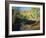 Cottonwoods Along Stream, Grand Staircase-Escalante National Monument, Utah, USA-Scott T. Smith-Framed Photographic Print