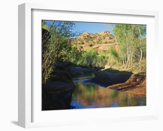 Cottonwoods Along Stream, Grand Staircase-Escalante National Monument, Utah, USA-Scott T. Smith-Framed Photographic Print