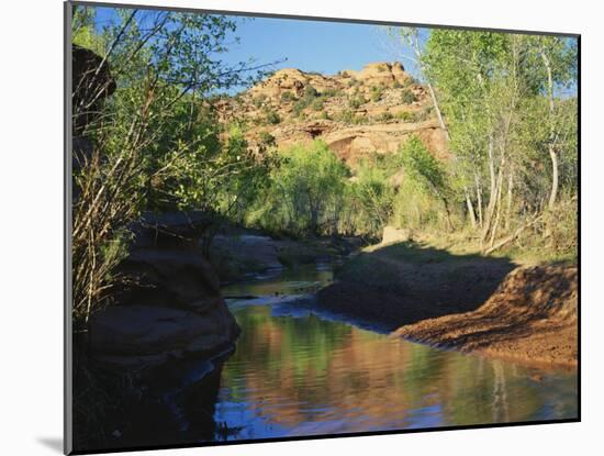 Cottonwoods Along Stream, Grand Staircase-Escalante National Monument, Utah, USA-Scott T. Smith-Mounted Photographic Print