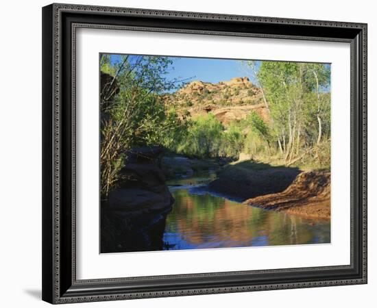 Cottonwoods Along Stream, Grand Staircase-Escalante National Monument, Utah, USA-Scott T. Smith-Framed Photographic Print