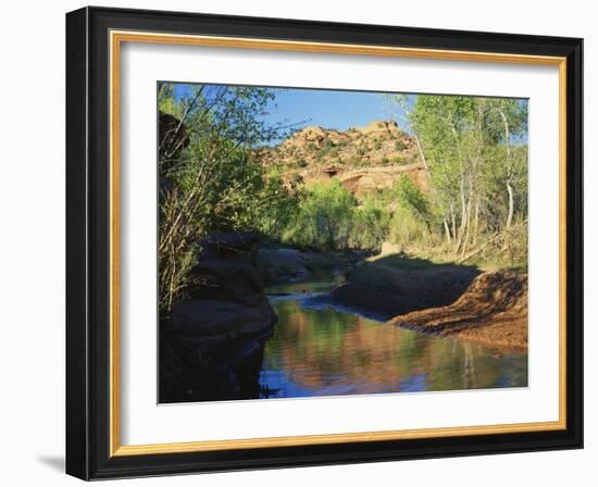 Cottonwoods Along Stream, Grand Staircase-Escalante National Monument, Utah, USA-Scott T. Smith-Framed Photographic Print