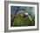 Cottonwoods and Red Arch Mountain in Early Spring, Zion National Park, Utah, Usa-Scott T. Smith-Framed Photographic Print