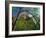 Cottonwoods and Red Arch Mountain in Early Spring, Zion National Park, Utah, Usa-Scott T. Smith-Framed Photographic Print