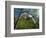 Cottonwoods and Red Arch Mountain in Early Spring, Zion National Park, Utah, Usa-Scott T. Smith-Framed Photographic Print