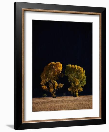 Cottonwoods in Autumn-Joseph Sohm-Framed Photographic Print