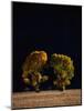 Cottonwoods in Autumn-Joseph Sohm-Mounted Photographic Print