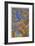 Cottonwoods in Fall-Donald Paulson-Framed Giclee Print