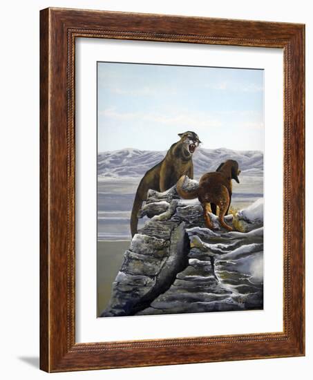 Cougar and Tink-Bonnie B. Cook-Framed Giclee Print