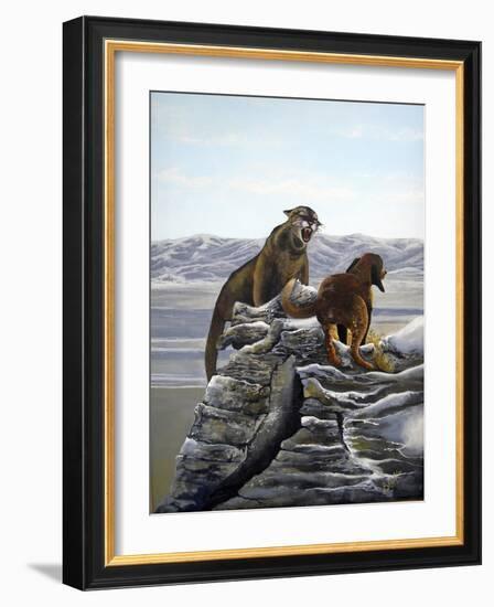 Cougar and Tink-Bonnie B. Cook-Framed Giclee Print