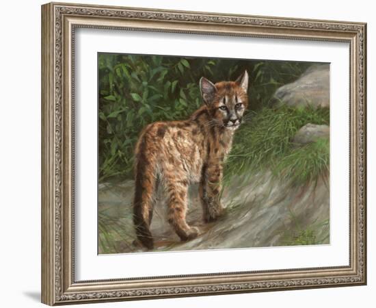 Cougar Cub-David Stribbling-Framed Art Print