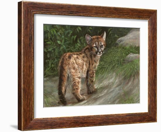 Cougar Cub-David Stribbling-Framed Art Print