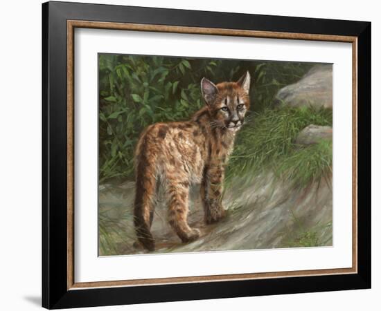 Cougar Cub-David Stribbling-Framed Art Print