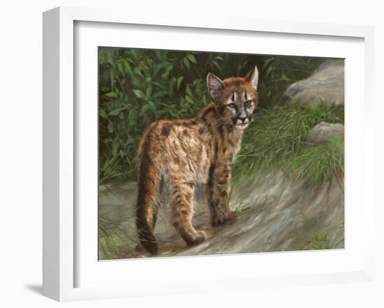 Cougar Cub-David Stribbling-Framed Art Print