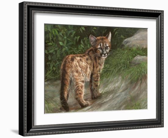 Cougar Cub-David Stribbling-Framed Art Print