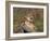 Cougar Growling-outdoorsman-Framed Photographic Print